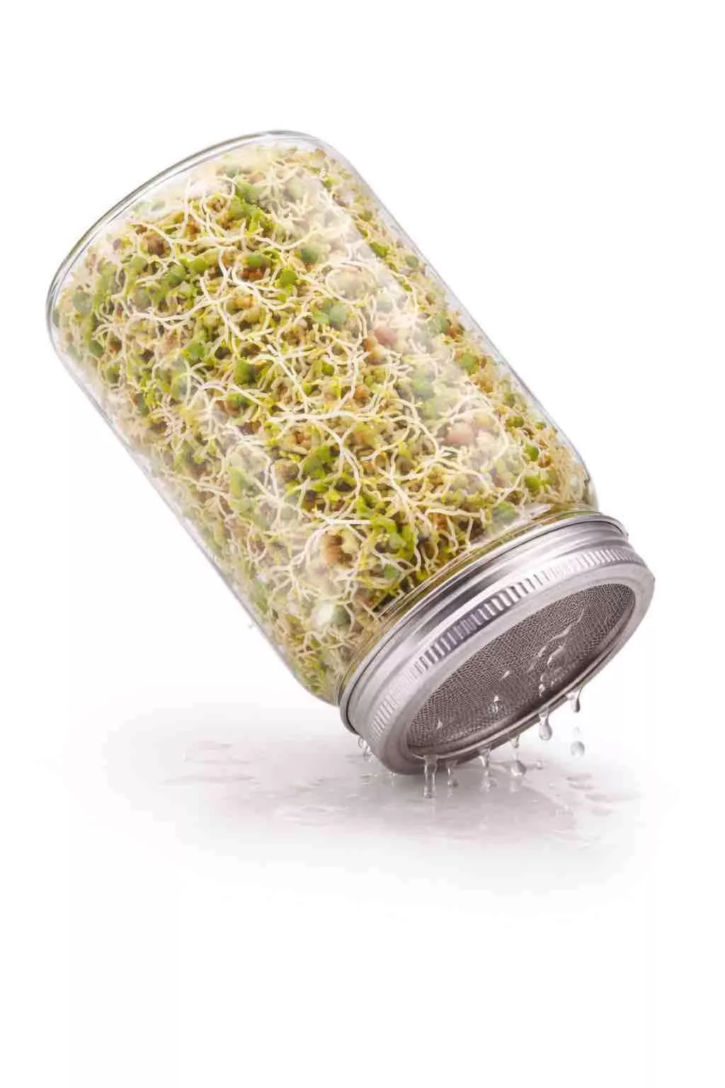 Cómo cultivar en un frasco